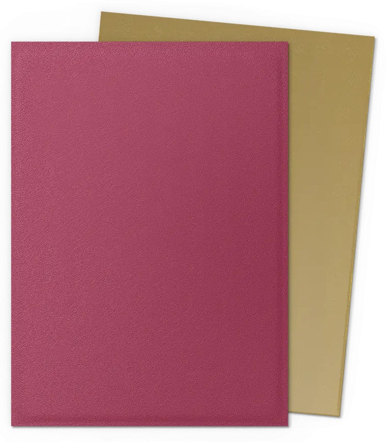 Dragon Shield - Pomegranate/Gold - Dual Matte Sleeves (100)